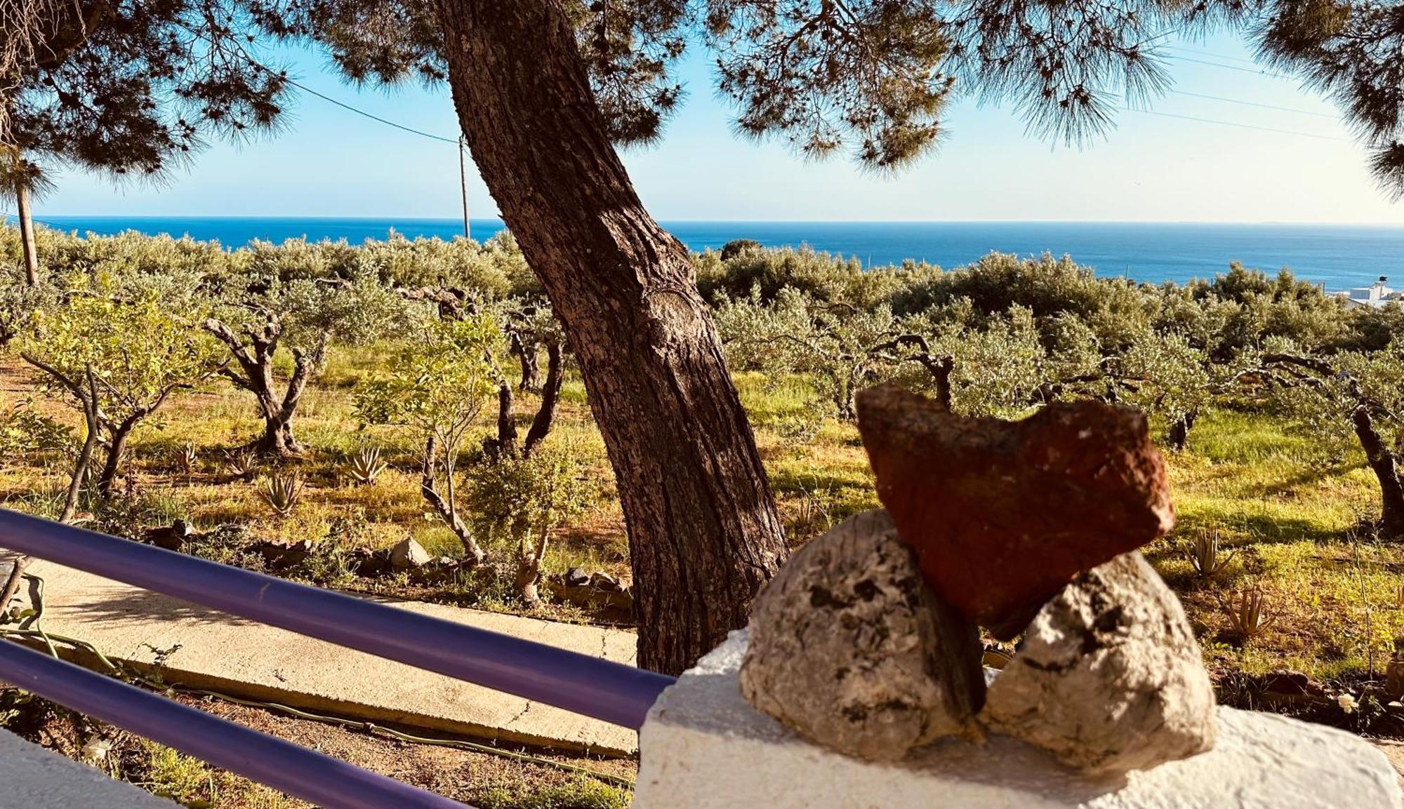 Studios Crete Ферма Экстерьер фото