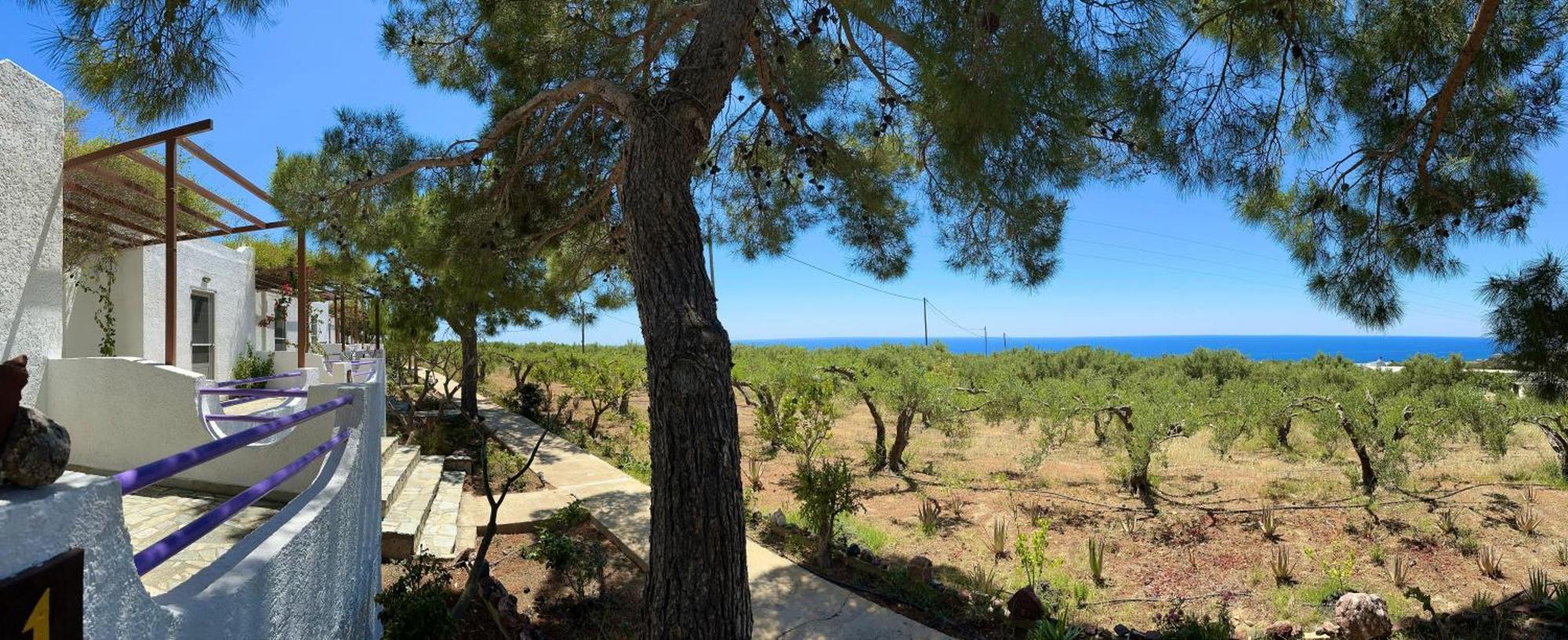 Studios Crete Ферма Экстерьер фото