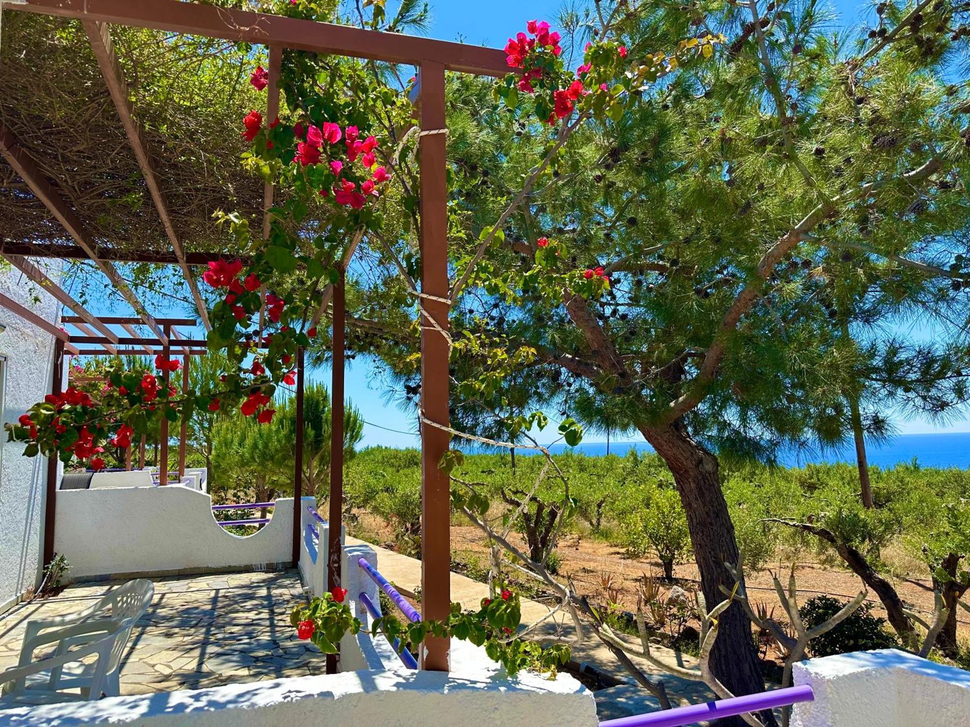 Studios Crete Ферма Экстерьер фото