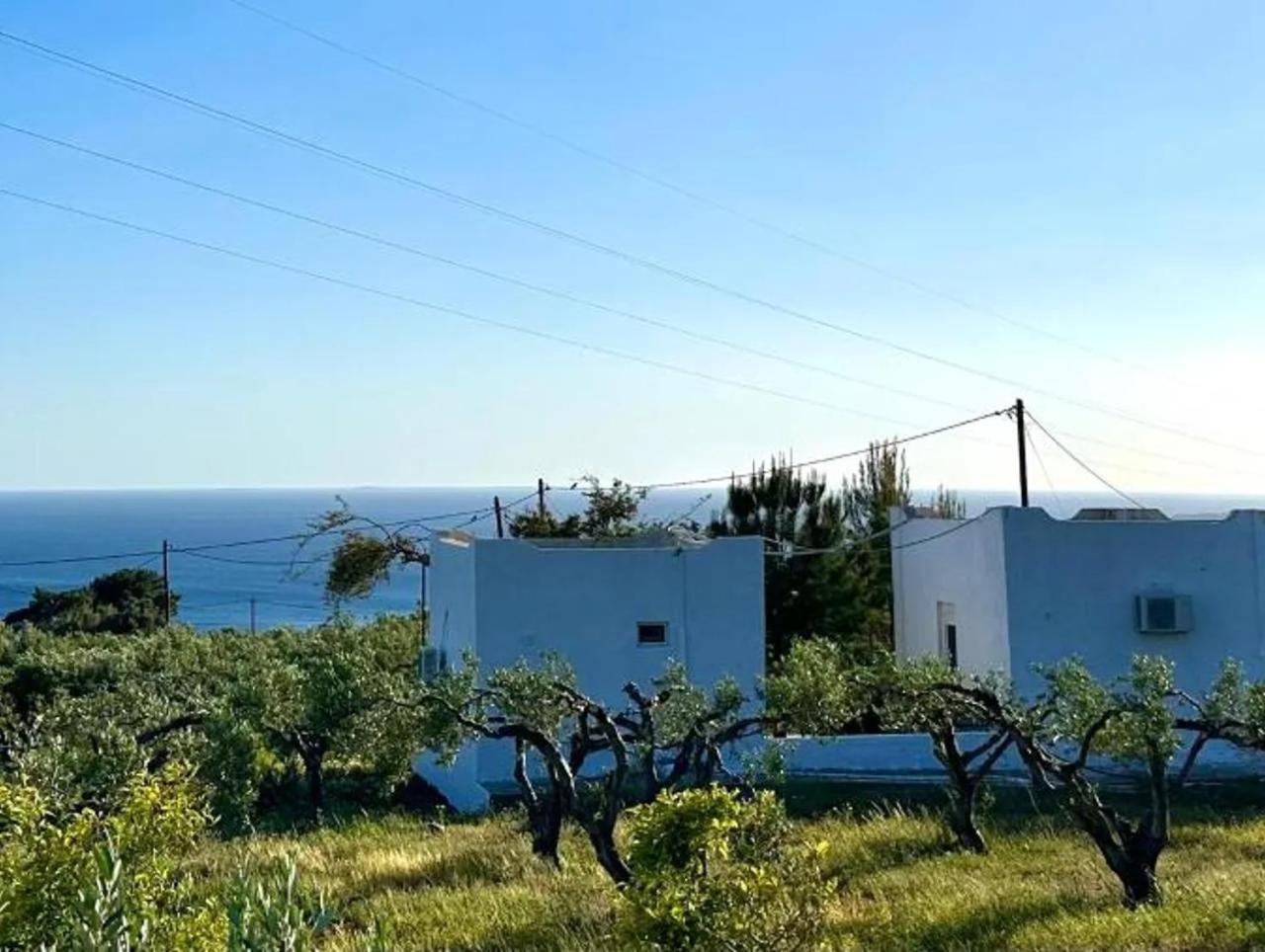 Studios Crete Ферма Экстерьер фото