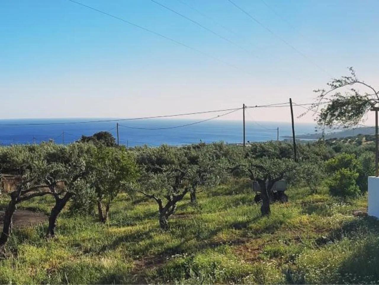 Studios Crete Ферма Экстерьер фото